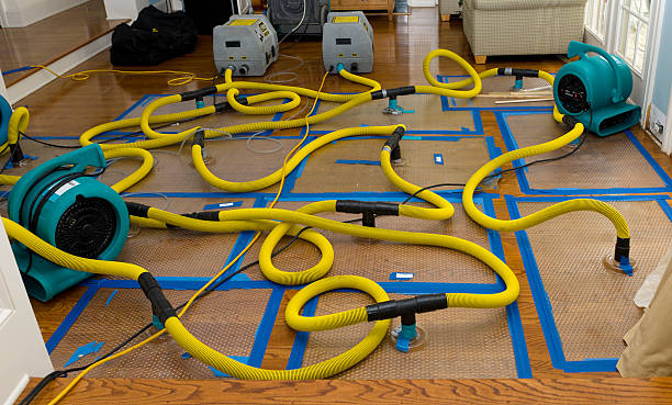 Professional Sewage Cleanup technician working in Freeman, MO